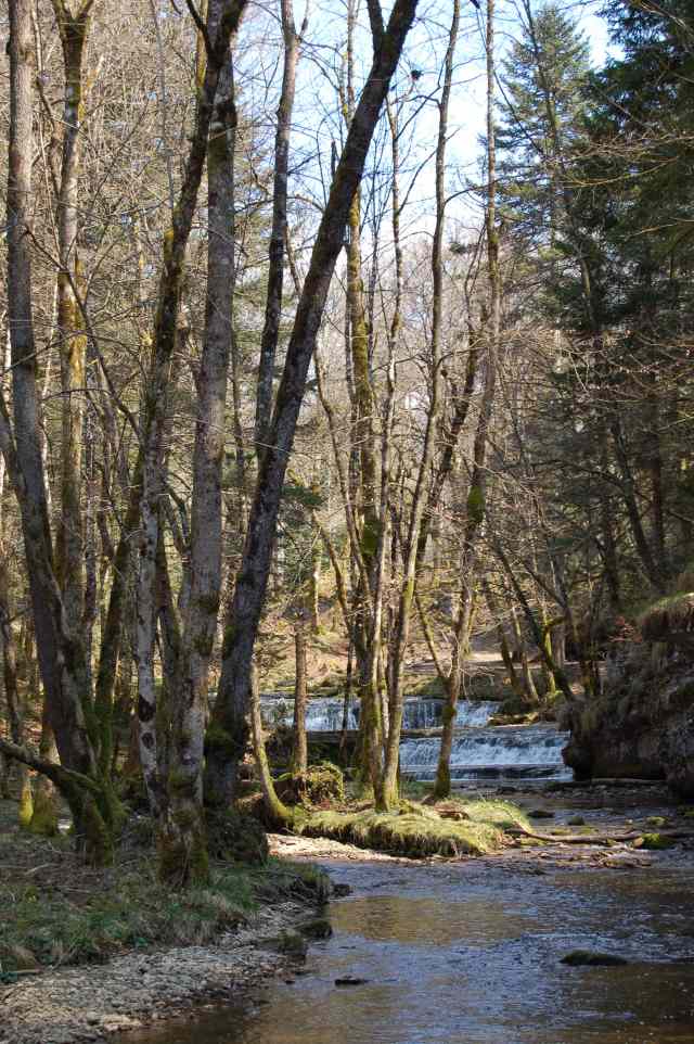 Un sentier trs praticable